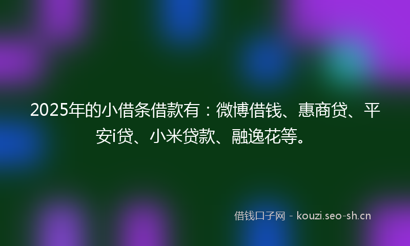 2025年的小借条借款有：微博借钱、惠商贷、平安i贷、小米贷款、融逸花等。