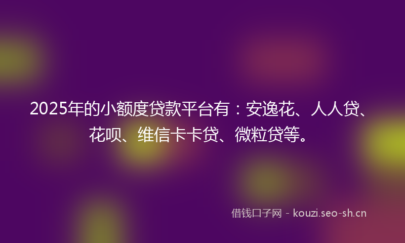 2025年的小额度贷款平台有：安逸花、人人贷、花呗、维信卡卡贷、微粒贷等。