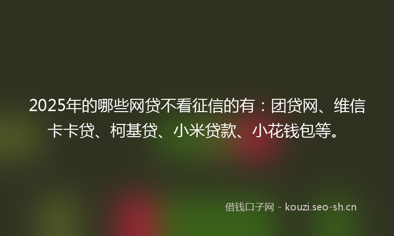 2025年的哪些网贷不看征信的有：团贷网、维信卡卡贷、柯基贷、小米贷款、小花钱包等。