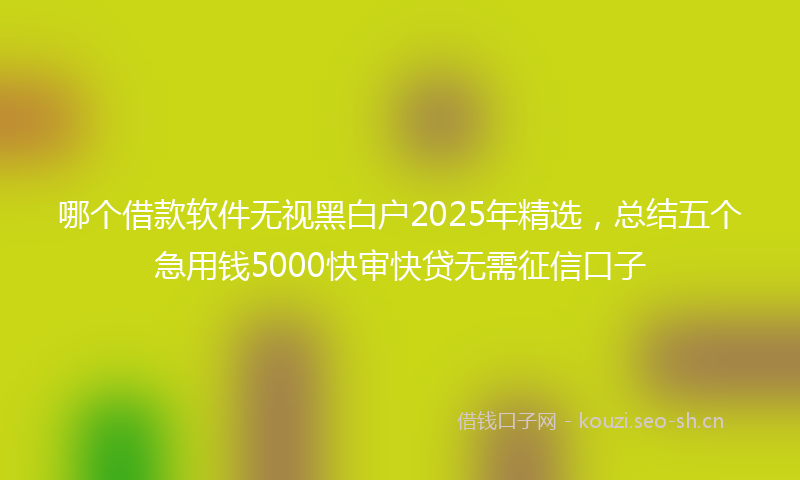 哪个借款软件无视黑白户2025年精选，总结五个急用钱5000快审快贷无需征信口子