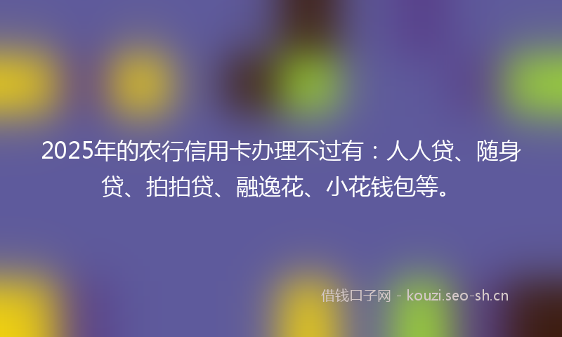 2025年的农行信用卡办理不过有：人人贷、随身贷、拍拍贷、融逸花、小花钱包等。