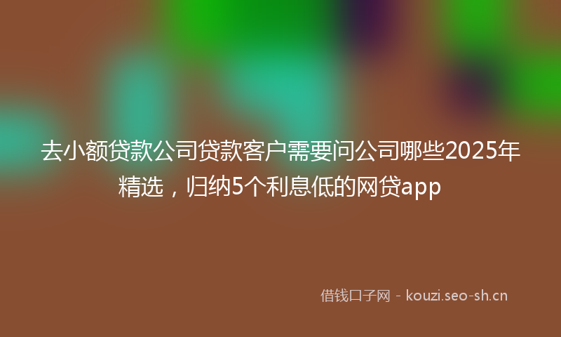 去小额贷款公司贷款客户需要问公司哪些2025年精选，归纳5个利息低的网贷app