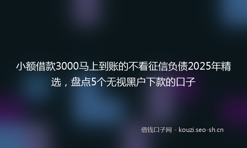 小额借款3000马上到账的不看征信负债2025年精选，盘点5个无视黑户下款的口子