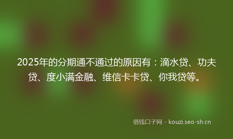2025年的分期通不通过的原因有：滴水贷、功夫贷、度小满金融、维信卡卡贷、你我贷等。