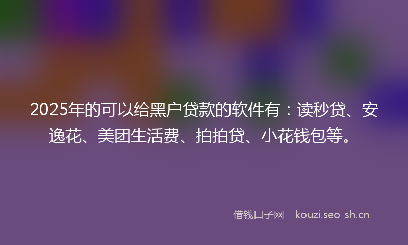2025年的可以给黑户贷款的软件有：读秒贷、安逸花、美团生活费、拍拍贷、小花钱包等。