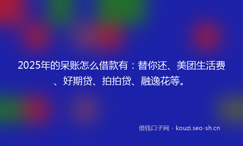 2025年的呆账怎么借款有：替你还、美团生活费、好期贷、拍拍贷、融逸花等。