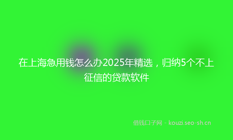 在上海急用钱怎么办2025年精选，归纳5个不上征信的贷款软件