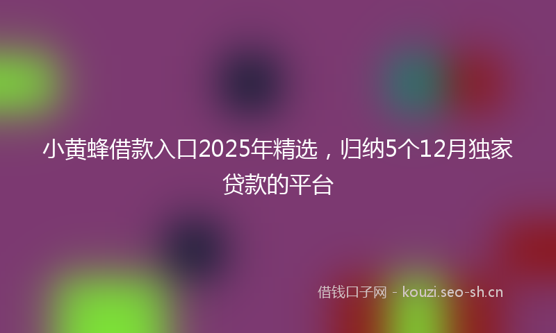 小黄蜂借款入口2025年精选，归纳5个12月独家贷款的平台