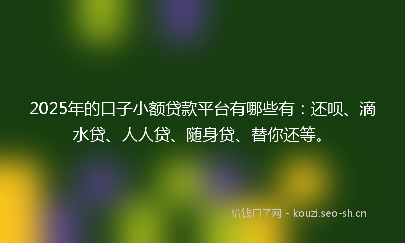 2025年的口子小额贷款平台有哪些有：还呗、滴水贷、人人贷、随身贷、替你还等。