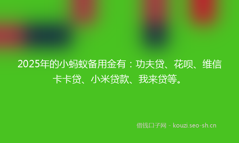 2025年的小蚂蚁备用金有：功夫贷、花呗、维信卡卡贷、小米贷款、我来贷等。