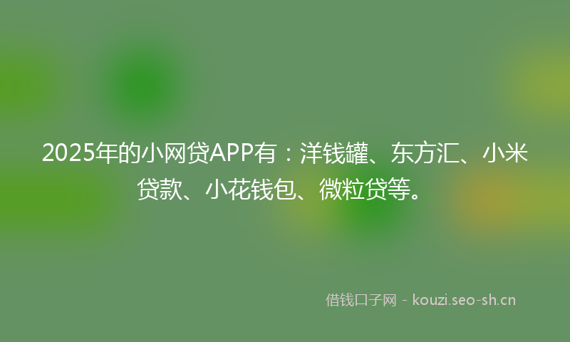2025年的小网贷APP有：洋钱罐、东方汇、小米贷款、小花钱包、微粒贷等。