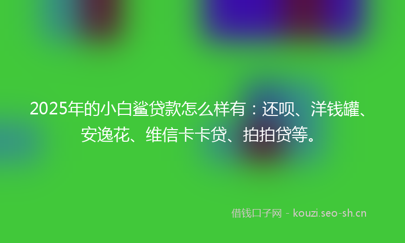2025年的小白鲨贷款怎么样有：还呗、洋钱罐、安逸花、维信卡卡贷、拍拍贷等。