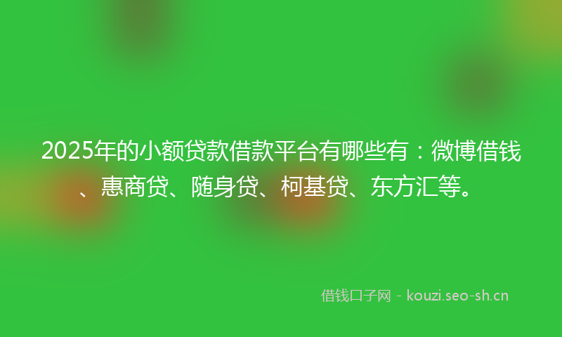 2025年的小额贷款借款平台有哪些有：微博借钱、惠商贷、随身贷、柯基贷、东方汇等。