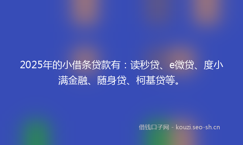 2025年的小借条贷款有：读秒贷、e微贷、度小满金融、随身贷、柯基贷等。