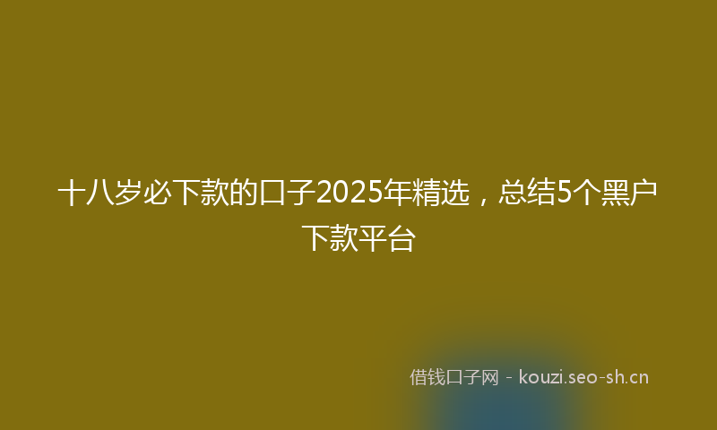 十八岁必下款的口子2025年精选，总结5个黑户下款平台