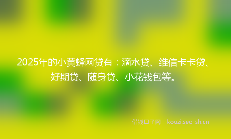 2025年的小黄蜂网贷有：滴水贷、维信卡卡贷、好期贷、随身贷、小花钱包等。