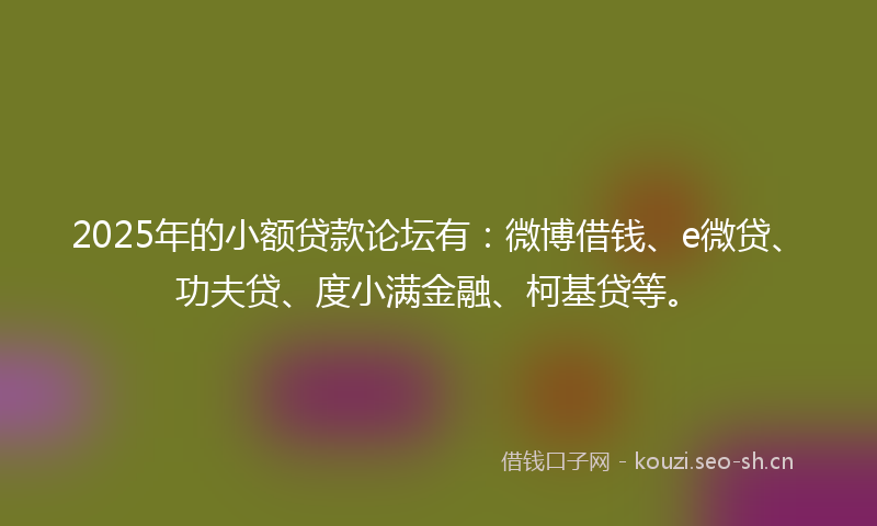 2025年的小额贷款论坛有：微博借钱、e微贷、功夫贷、度小满金融、柯基贷等。