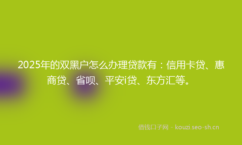 2025年的双黑户怎么办理贷款有:信用卡贷、惠商贷、省呗、平安i贷、东方汇等。