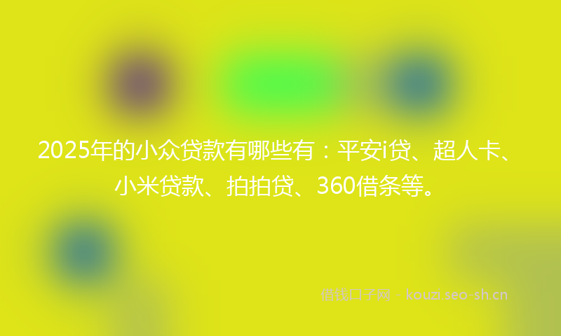 2025年的小众贷款有哪些有:平安i贷、超人卡、小米贷款、拍拍贷、360借条等。