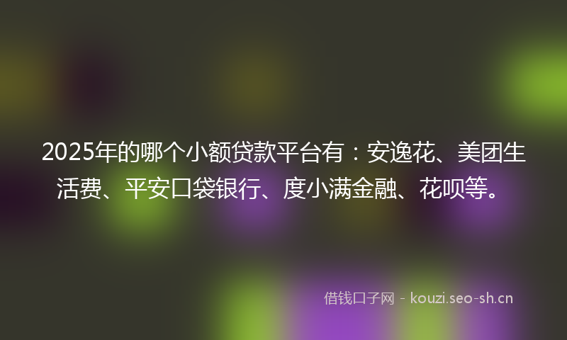 2025年的哪个小额贷款平台有：安逸花、美团生活费、平安口袋银行、度小满金融、花呗等。