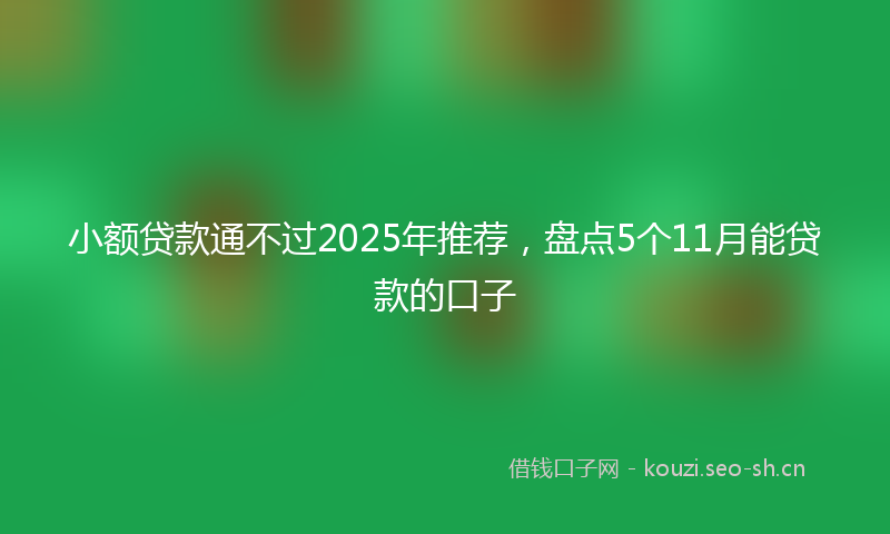 小额贷款通不过2025年推荐，盘点5个11月能贷款的口子