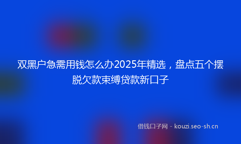 双黑户急需用钱怎么办2025年精选，盘点五个摆脱欠款束缚贷款新口子