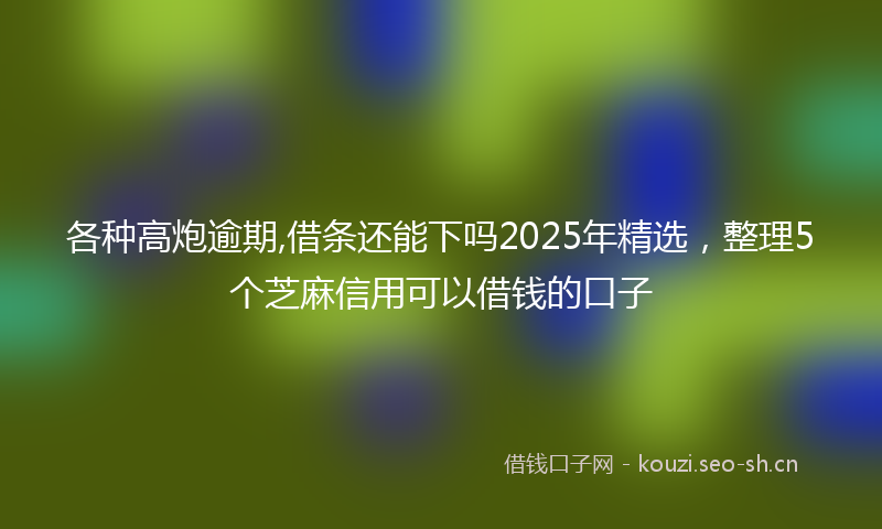 各种高炮逾期,借条还能下吗2025年精选，整理5个芝麻信用可以借钱的口子
