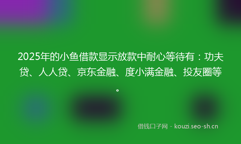 2025年的小鱼借款显示放款中耐心等待有：功夫贷、人人贷、京东金融、度小满金融、投友圈等。