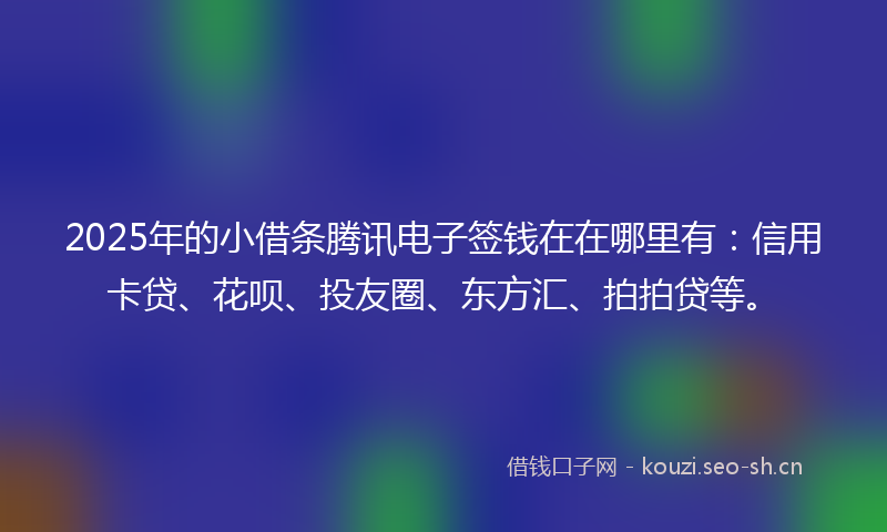 2025年的小借条腾讯电子签钱在在哪里有：信用卡贷、花呗、投友圈、东方汇、拍拍贷等。