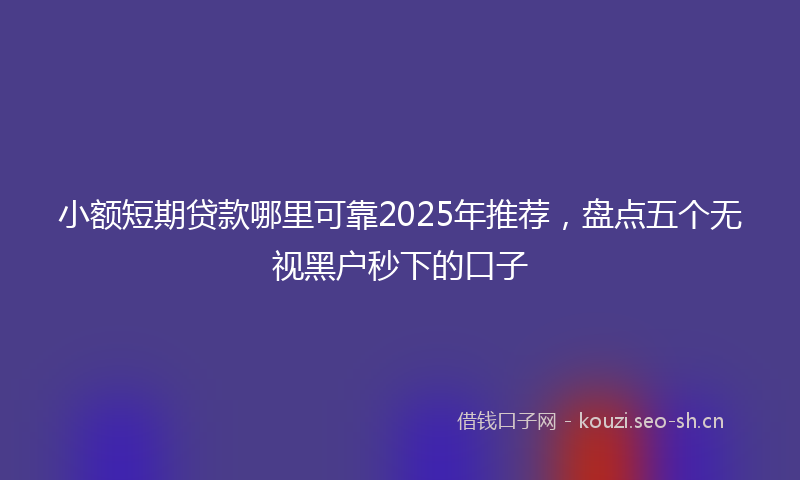 小额短期贷款哪里可靠2025年推荐，盘点五个无视黑户秒下的口子