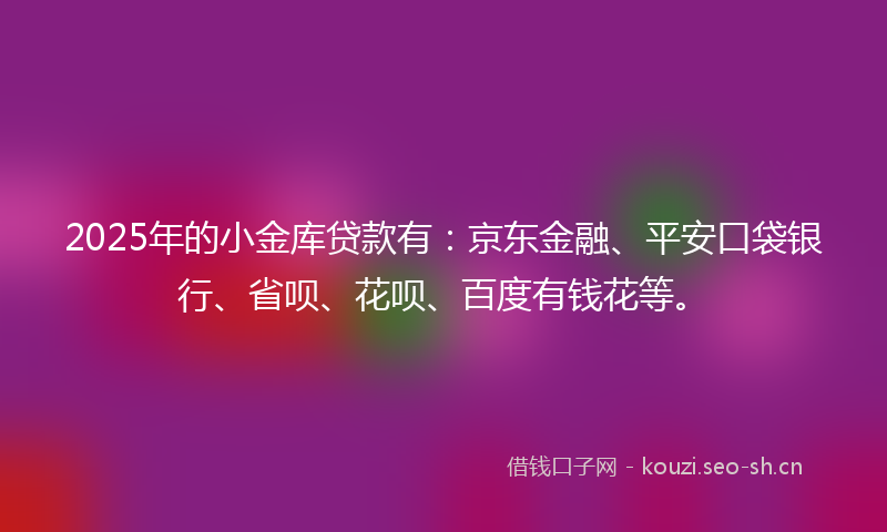 2025年的小金库贷款有：京东金融、平安口袋银行、省呗、花呗、百度有钱花等。