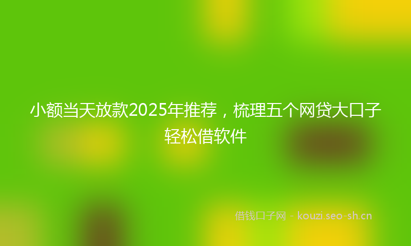小额当天放款2025年推荐，梳理五个网贷大口子轻松借软件