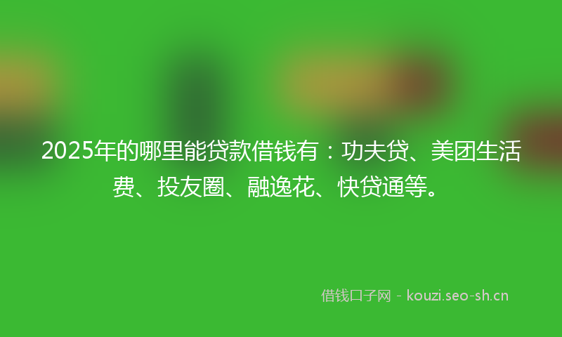 2025年的哪里能贷款借钱有：功夫贷、美团生活费、投友圈、融逸花、快贷通等。