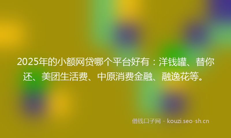 2025年的小额网贷哪个平台好有：洋钱罐、替你还、美团生活费、中原消费金融、融逸花等。