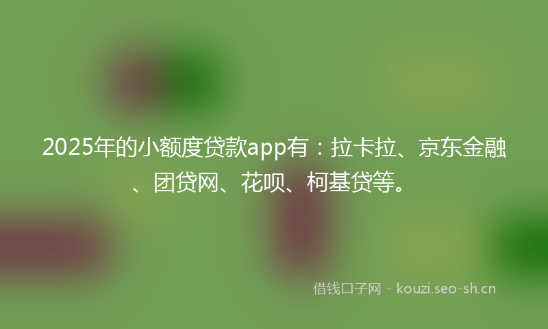 2025年的小额度贷款app有：拉卡拉、京东金融、团贷网、花呗、柯基贷等。