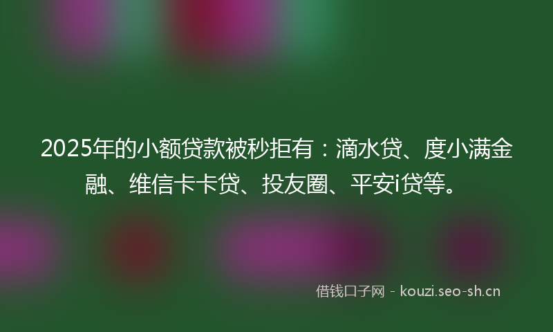 2025年的小额贷款被秒拒有：滴水贷、度小满金融、维信卡卡贷、投友圈、平安i贷等。