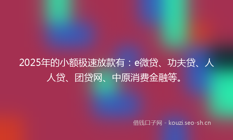 2025年的小额极速放款有：e微贷、功夫贷、人人贷、团贷网、中原消费金融等。