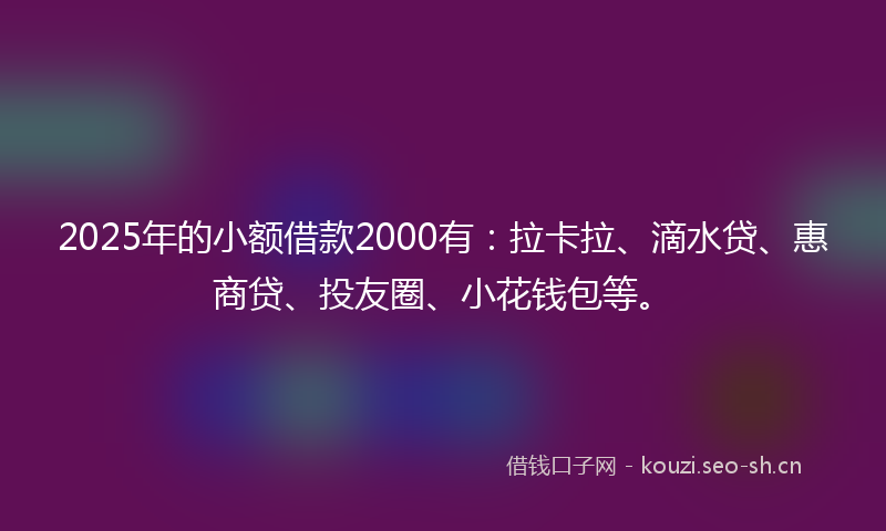 2025年的小额借款2000有：拉卡拉、滴水贷、惠商贷、投友圈、小花钱包等。