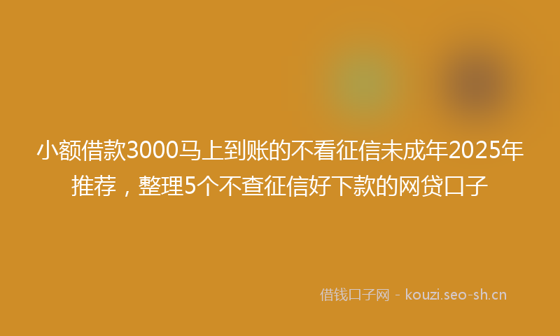 小额借款3000马上到账的不看征信未成年2025年推荐，整理5个不查征信好下款的网贷口子