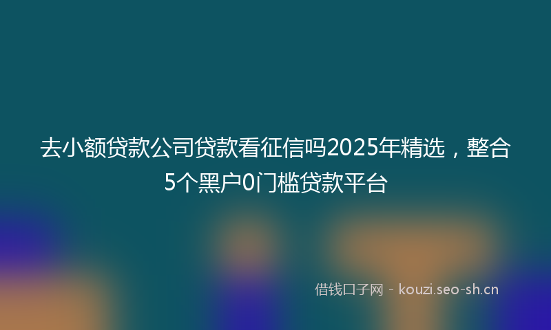 去小额贷款公司贷款看征信吗2025年精选，整合5个黑户0门槛贷款平台
