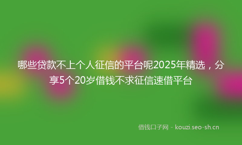 哪些贷款不上个人征信的平台呢2025年精选，分享5个20岁借钱不求征信速借平台