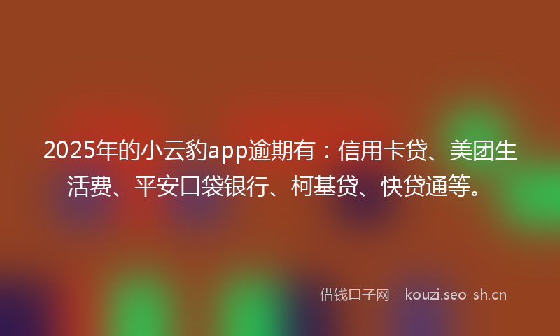 2025年的小云豹app逾期有：信用卡贷、美团生活费、平安口袋银行、柯基贷、快贷通等。
