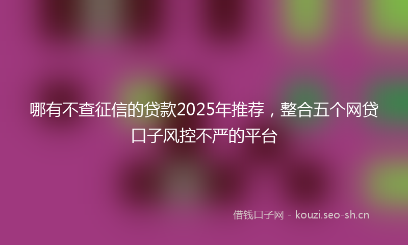 哪有不查征信的贷款2025年推荐，整合五个网贷口子风控不严的平台