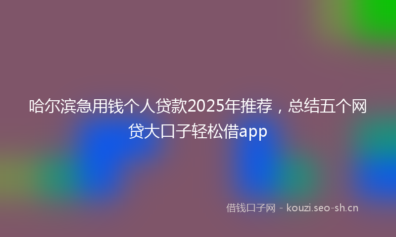 哈尔滨急用钱个人贷款2025年推荐,总结五个网贷大口子轻松借app