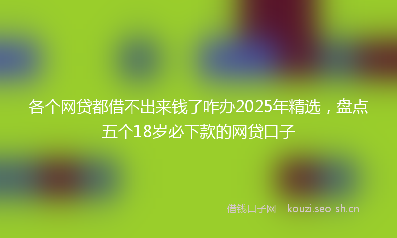 各个网贷都借不出来钱了咋办2025年精选,盘点五个18岁必下款的网贷口子