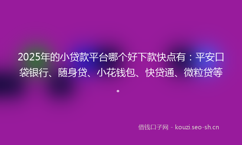 2025年的小贷款平台哪个好下款快点有：平安口袋银行、随身贷、小花钱包、快贷通、微粒贷等。
