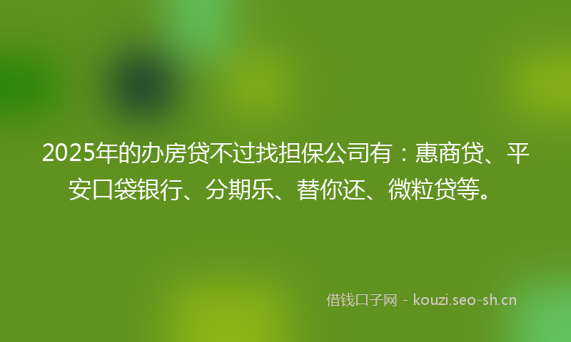 2025年的办房贷不过找担保公司有：惠商贷、平安口袋银行、分期乐、替你还、微粒贷等。