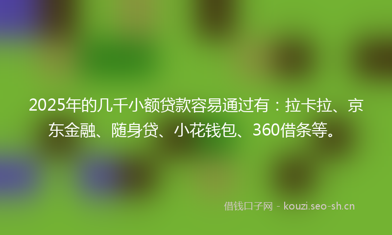 2025年的几千小额贷款容易通过有：拉卡拉、京东金融、随身贷、小花钱包、360借条等。