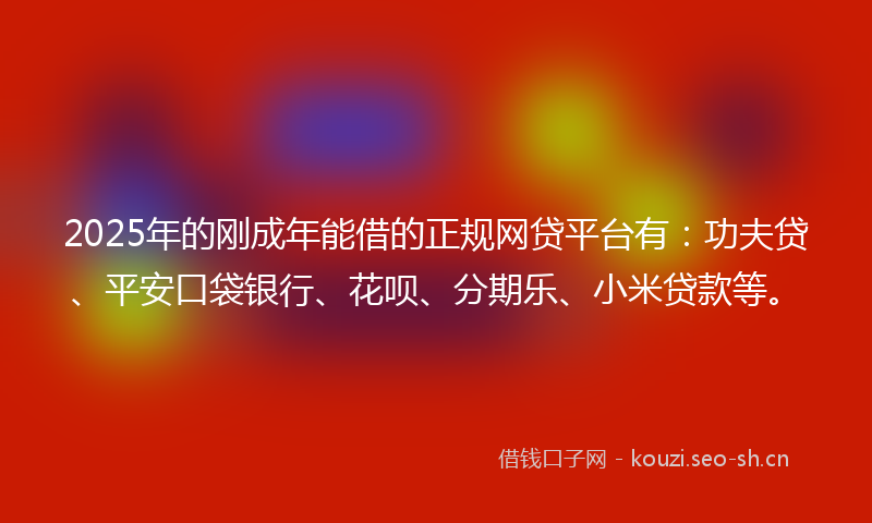 2025年的刚成年能借的正规网贷平台有：功夫贷、平安口袋银行、花呗、分期乐、小米贷款等。