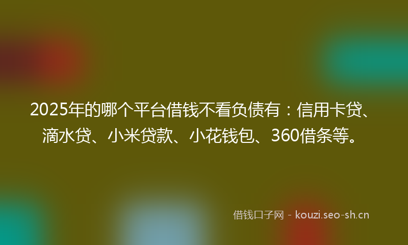 2025年的哪个平台借钱不看负债有：信用卡贷、滴水贷、小米贷款、小花钱包、360借条等。